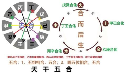 五行合|五行派八字基礎入門（五）天干五合與地支六合｜方格子 vocu